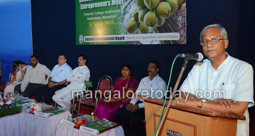 Coconut parks in Dakshina Kannada to rescue farmers 3
